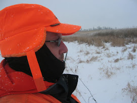 Cold View