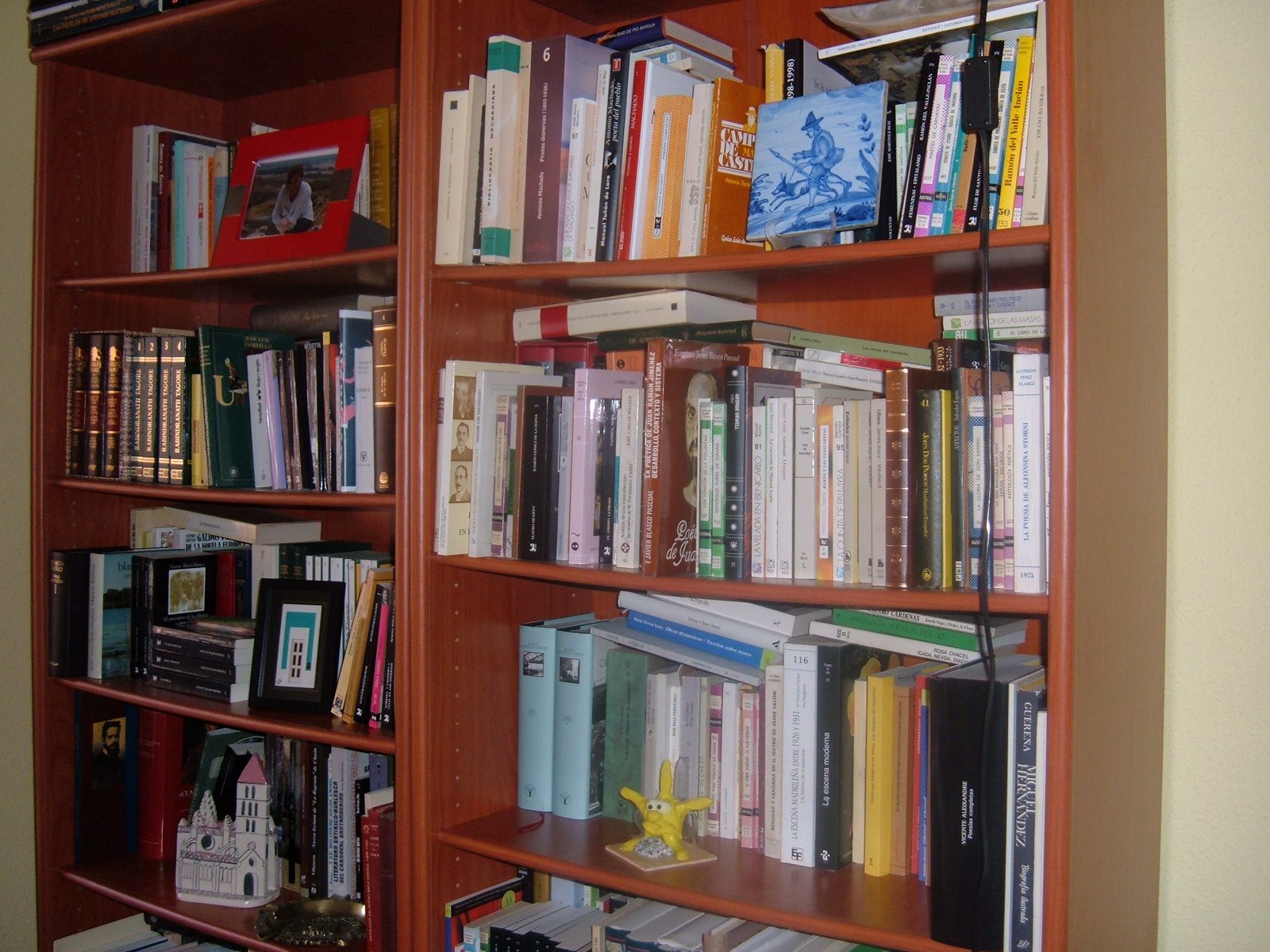 [biblioteca+(1).JPG]