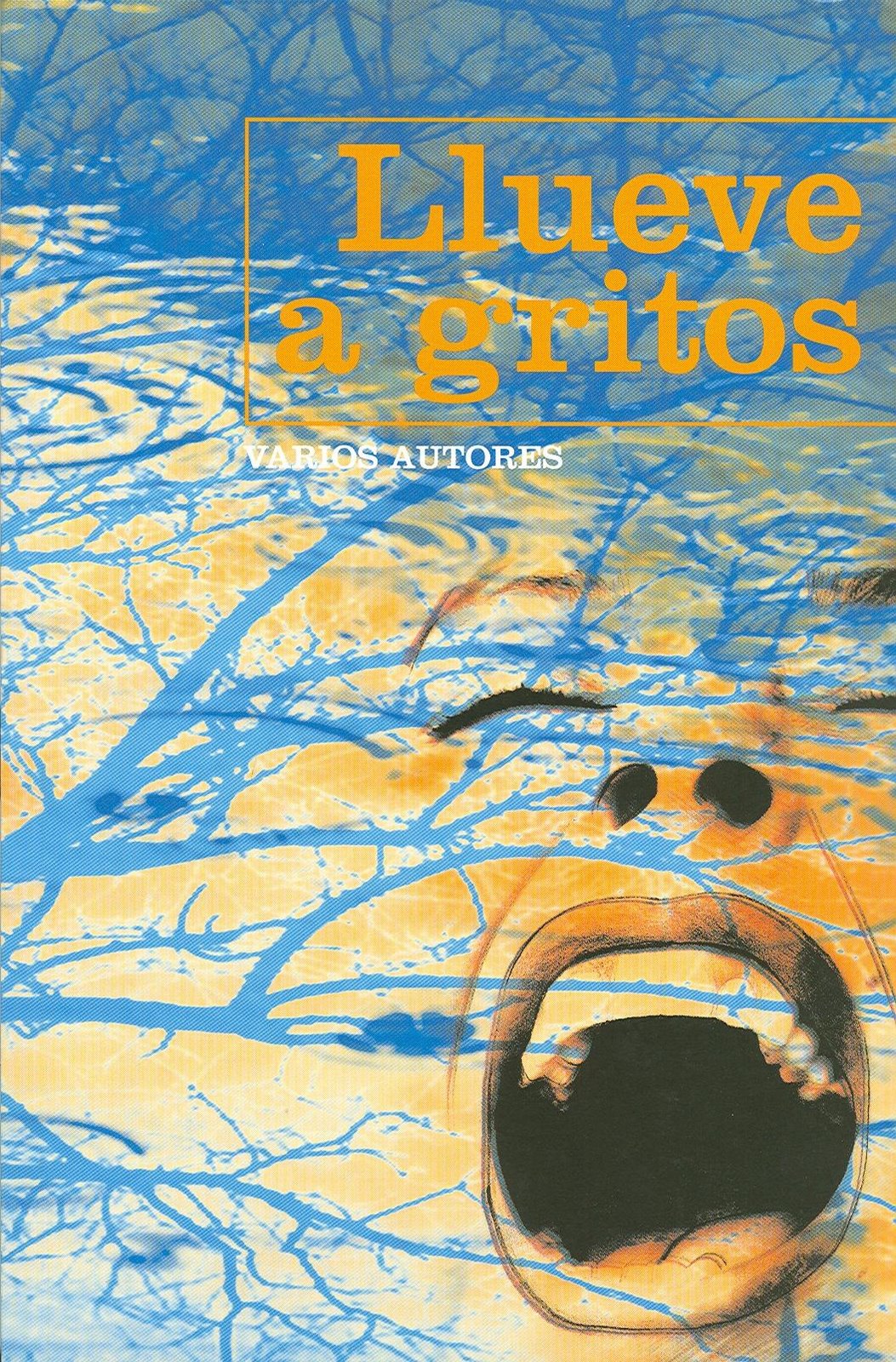 [llueve+a+gritos.jpg]