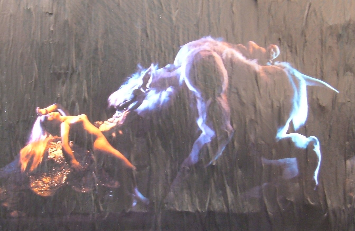 [cartel+de+aullidos+motivo+central.JPG]