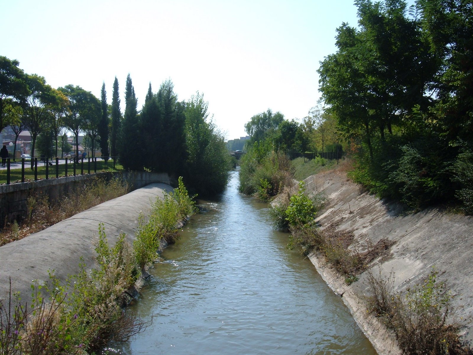 [desembocadura+del+esgueva.JPG]