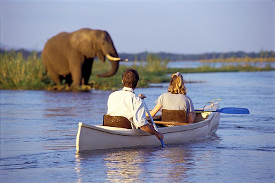 Zambia Victoria Falls Canoeing Safari