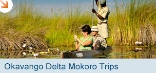 Botswana Okavango Delta Mokoro Trips