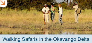Botswana Okavango Delta Walking Safari