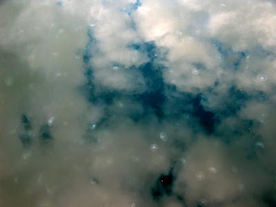 jellyfish desolation sound reflections clouds