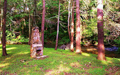 Remnents of a Homestead