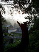 Silouette of the stump 'praising' God