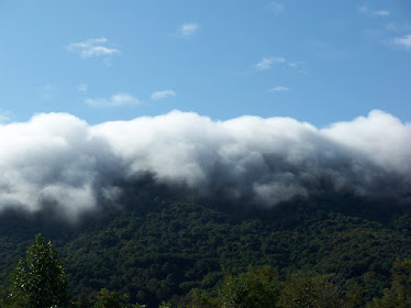 Mountain Fog
