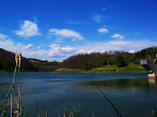Lincolnshire Park