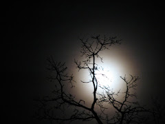 I love night