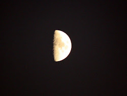 Moon over Almaden Quicksilver Park