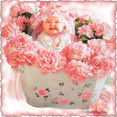 Цветы Поздравления С Рождением Дочки