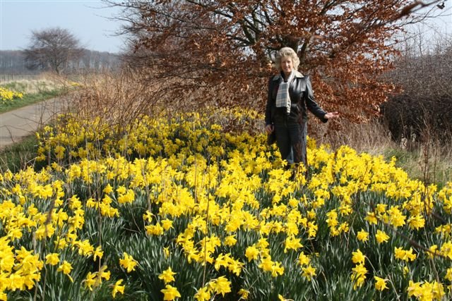 Barbara's Cancer Considerations