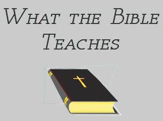 [WHAT%20THE%20BIBLE%20-%20COVER%20I[1]_edited.jpg]