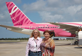 Delta's Pink Plane