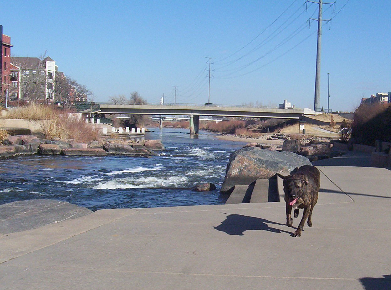 [1.25.09+platte+river.JPG]