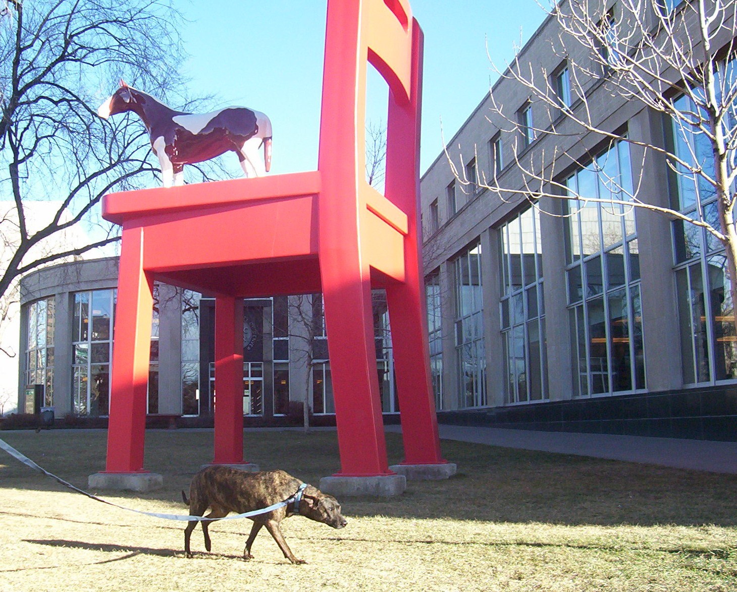 [Denver+public+library.JPG]