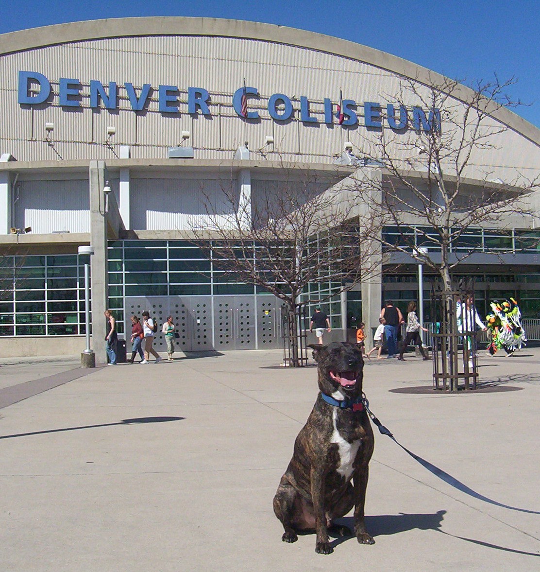 [west+denver+005.JPG]