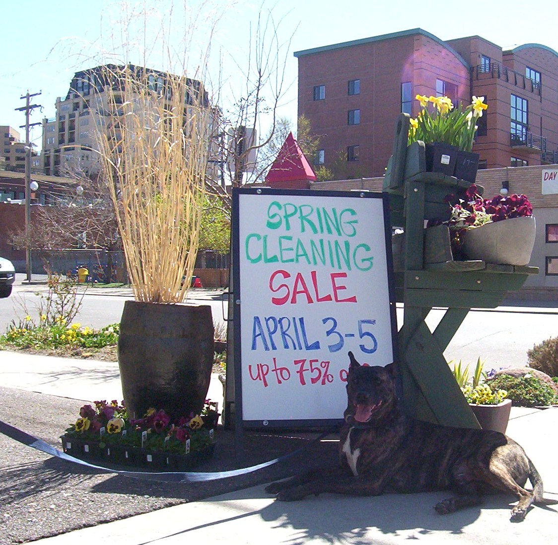 [urban+gardens.JPG]