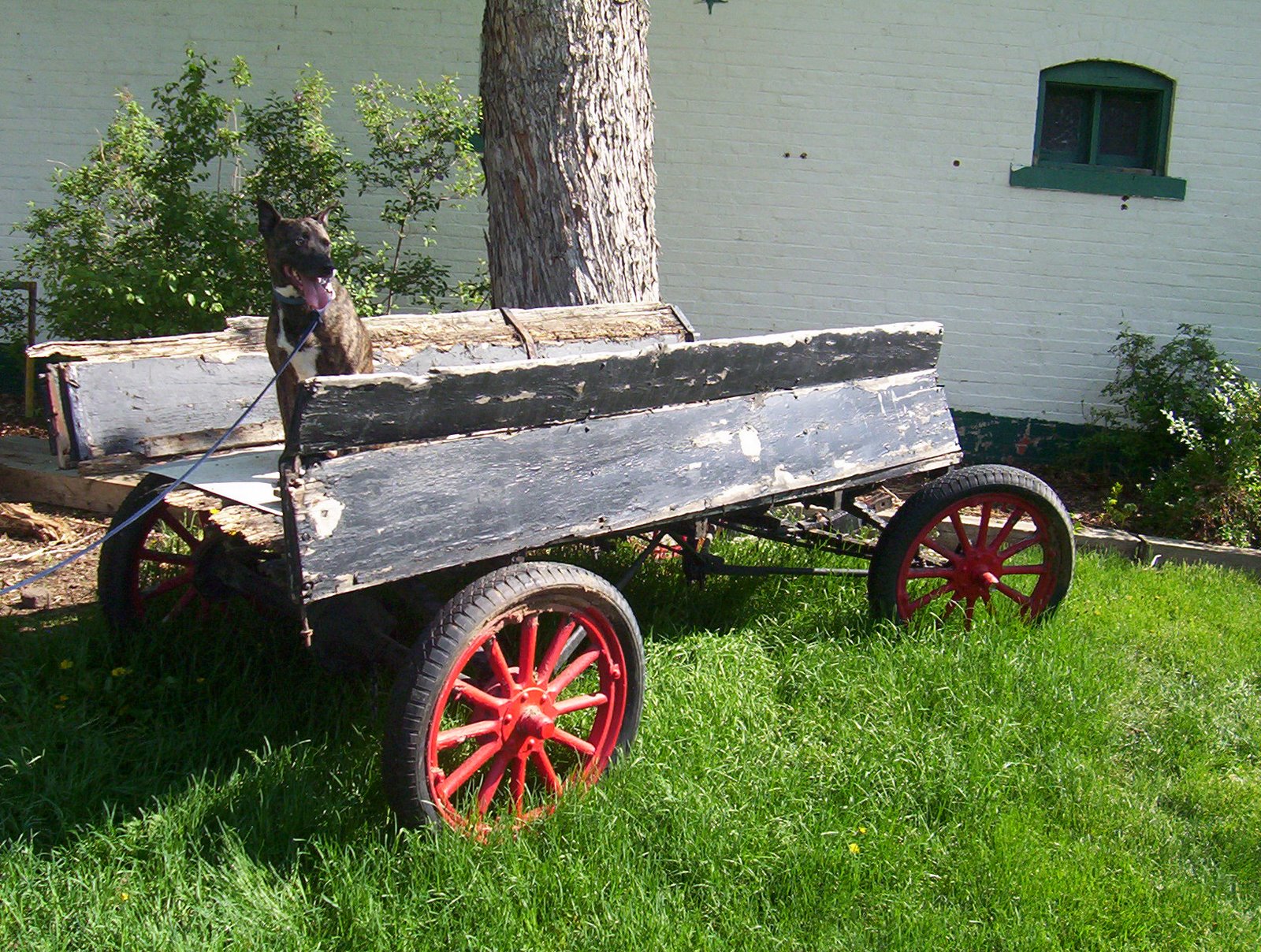 [wash+park+wagon.JPG]
