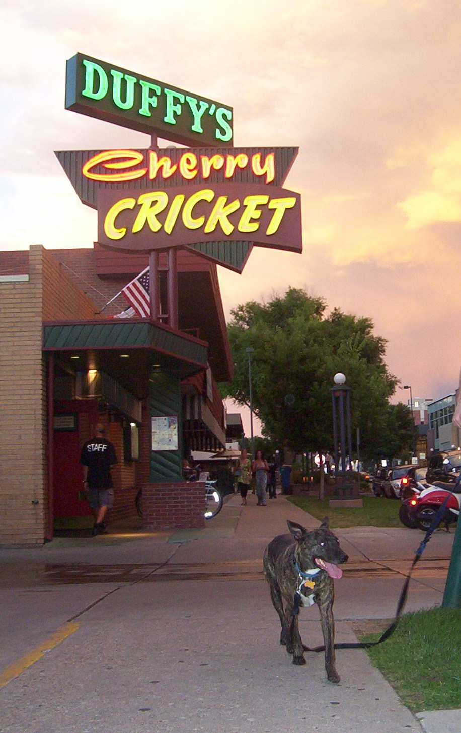 [cherry+cricket.JPG]