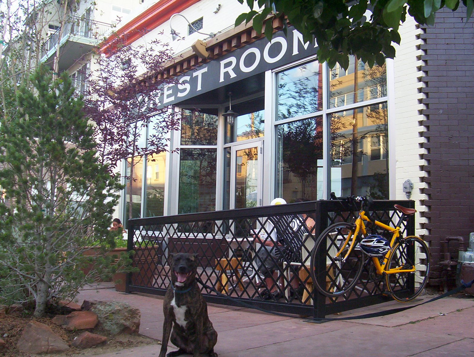 [forrest+room.JPG]