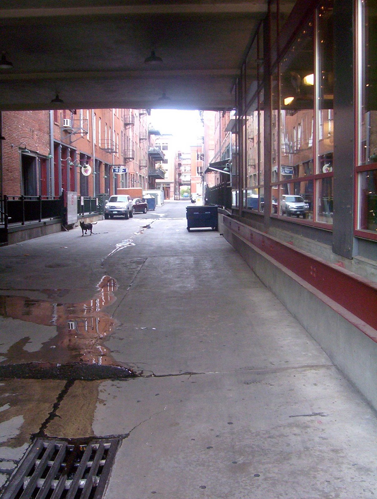 [downtown+016.JPG]