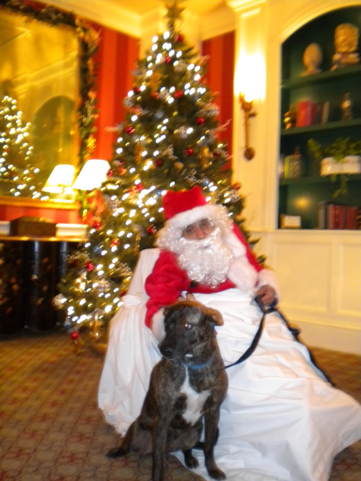 [santa+002.JPG]