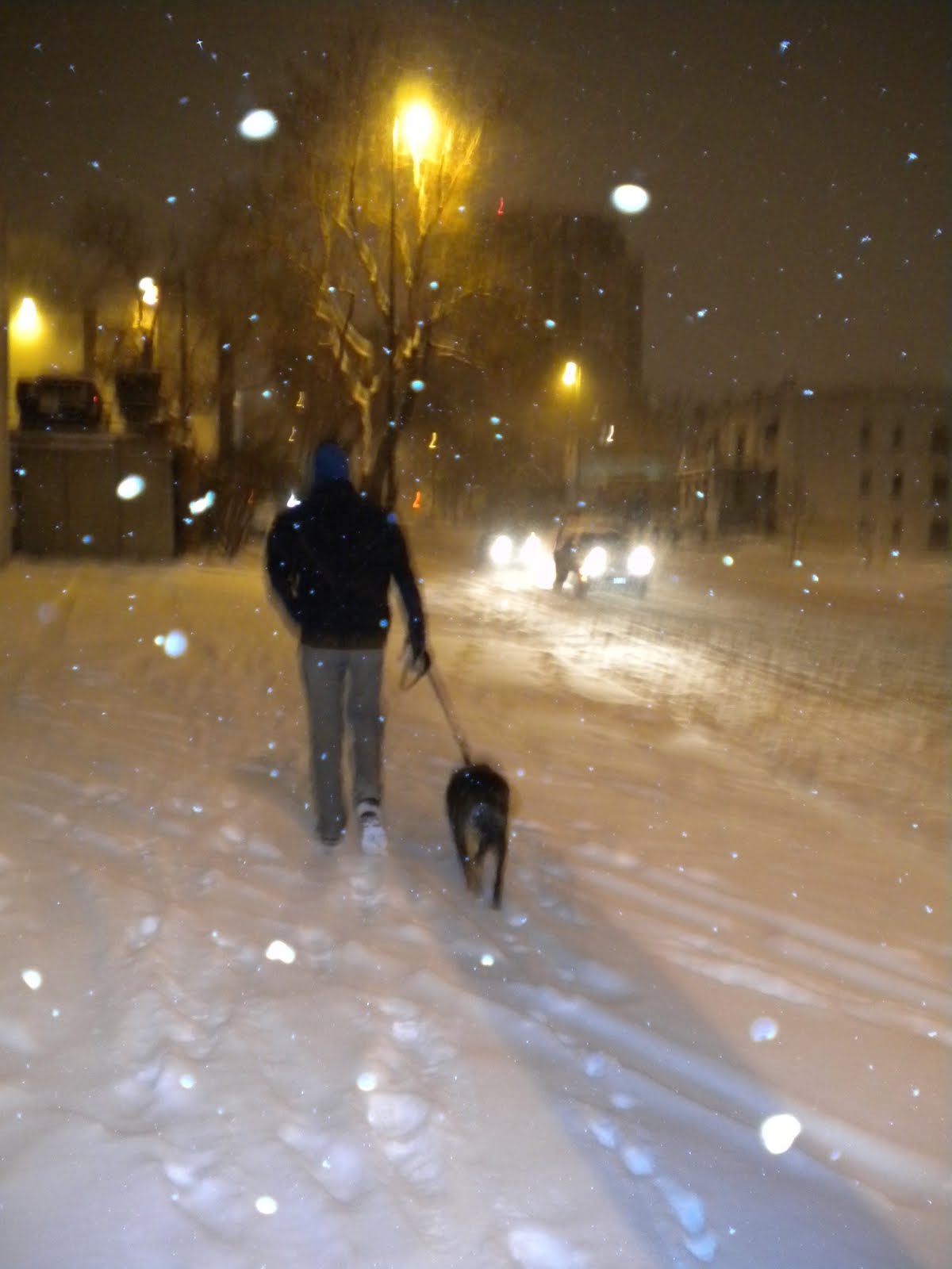 [snow+009.JPG]