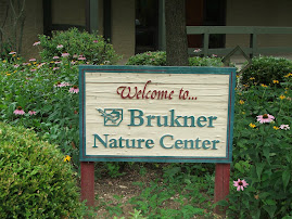 Brukner Welcome