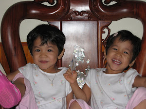 This is our family's journey to adopt 3 year old twin girls from Vietnam.