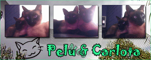 Pelu & Carlota