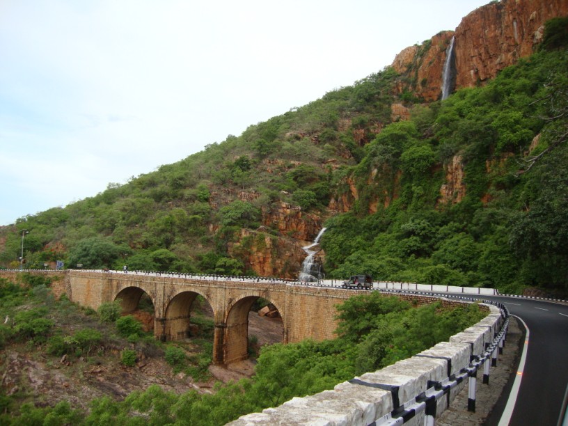 [DSC01556.jpg]