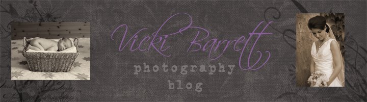 Vicki Barrett Photography Blog