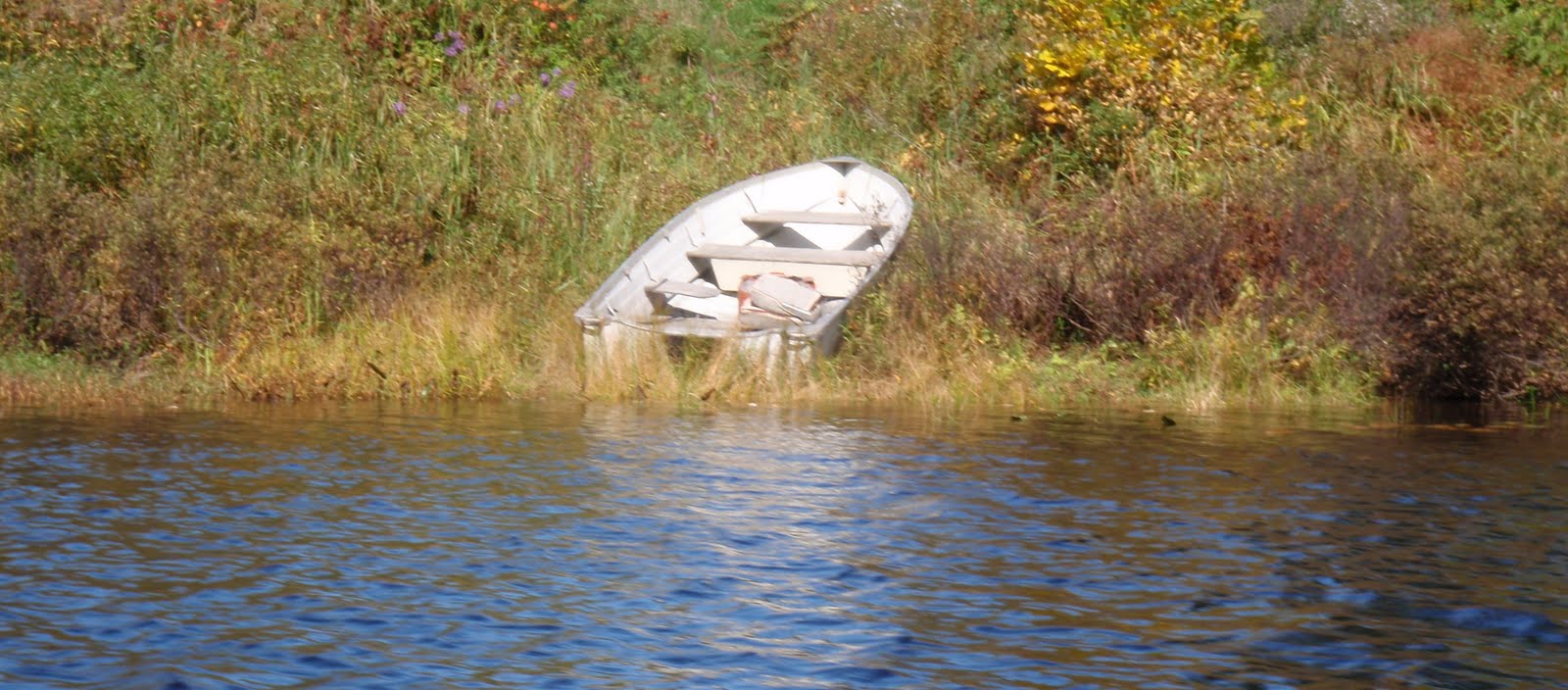 PenobscotPaddles Passadumkeag Stream Sunshine!