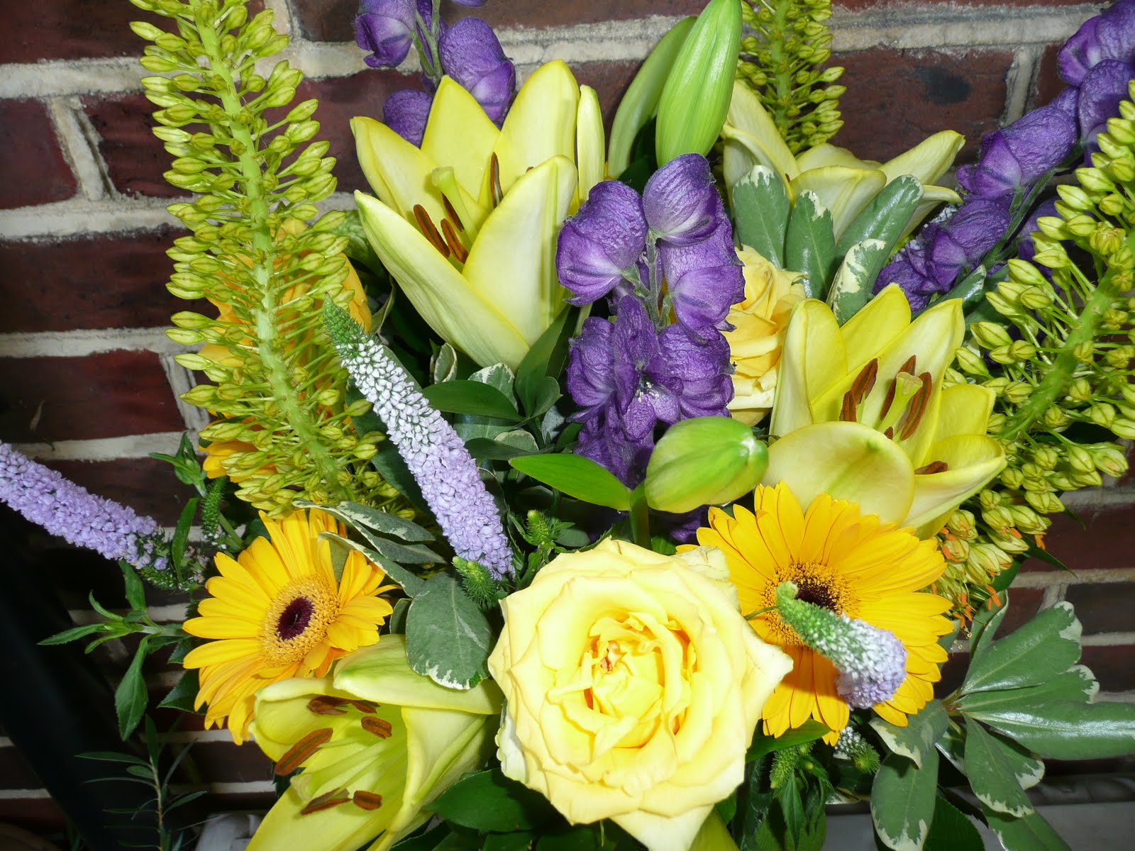 Annabelle Serendipity Flower Gift