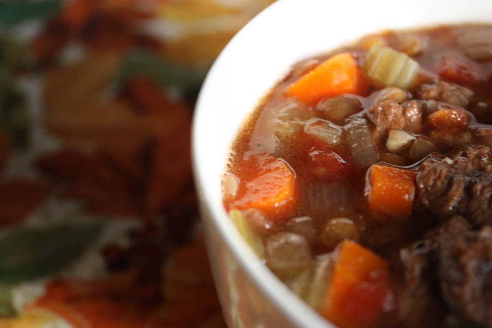 Savory Fare Beef and Lentil Soup