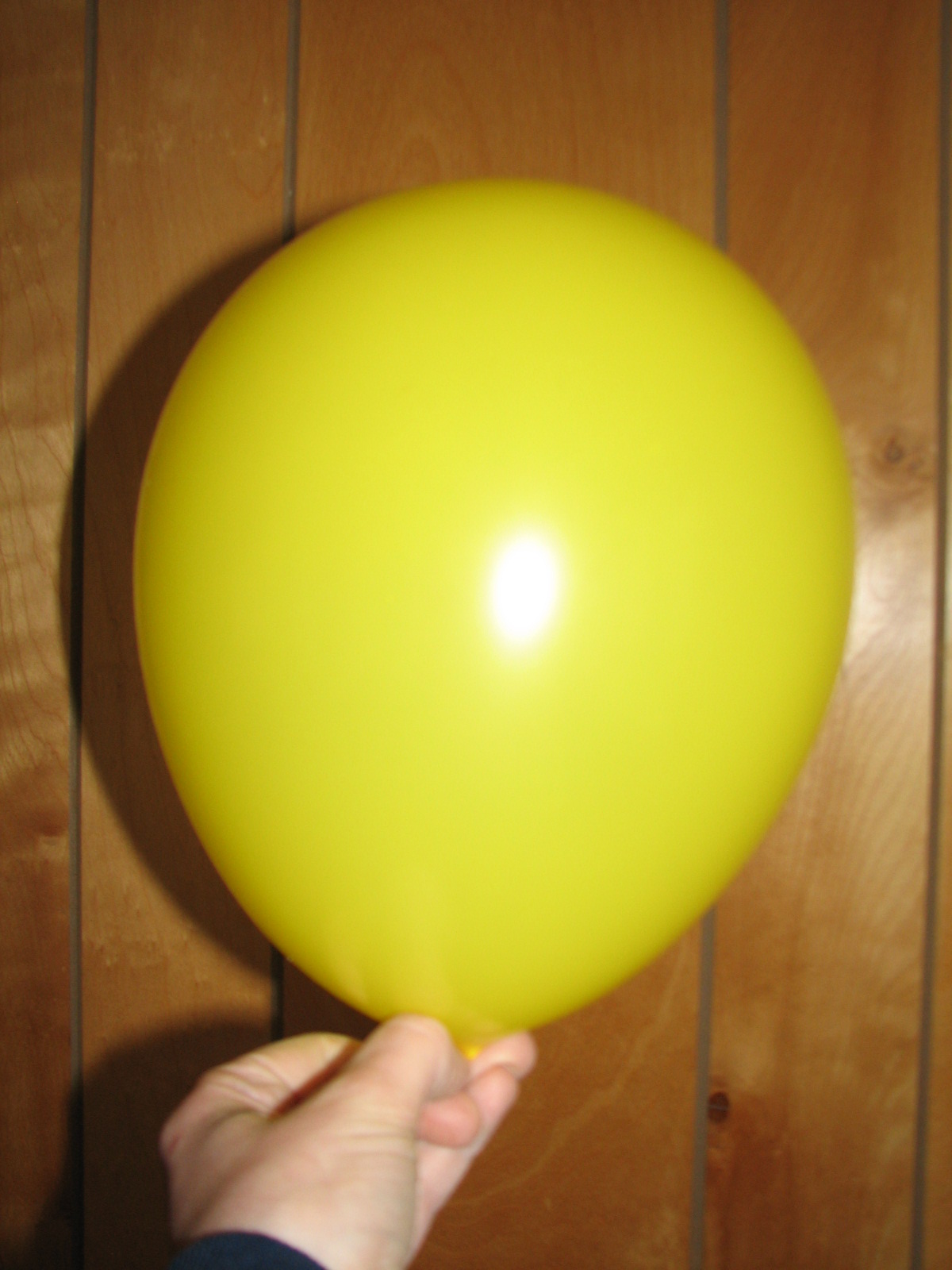 Science Matters Ideal Gas Law with a Balloon