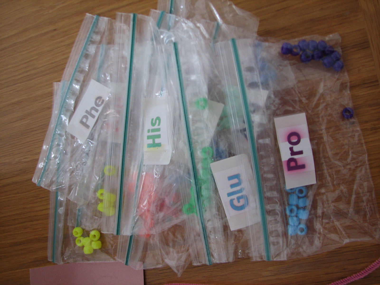 Science Matters Comparing Amino Acids & DNA