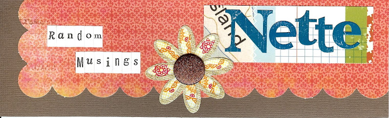 Random day to day musings