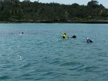 John, Paul & Kris at Mermaid Reef