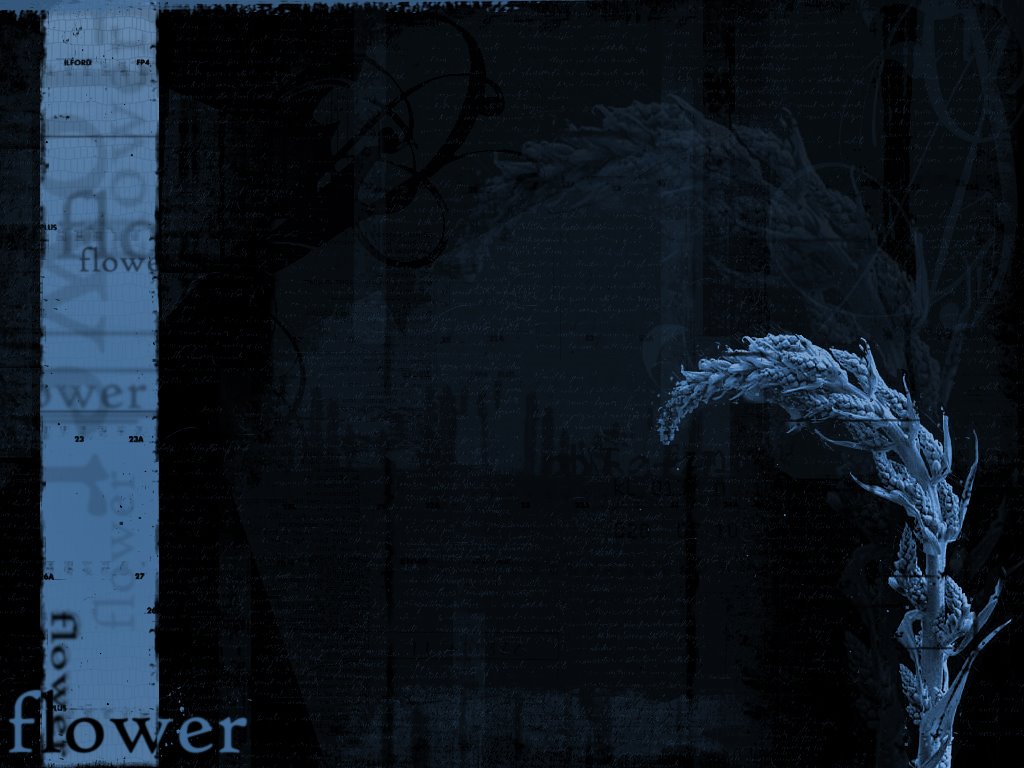 [bst_Flowerv2.jpg]