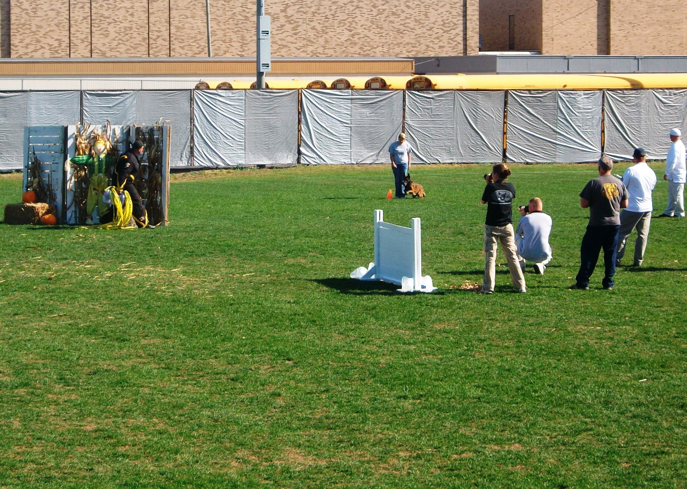 Dog Gone Happy PSA National Competition