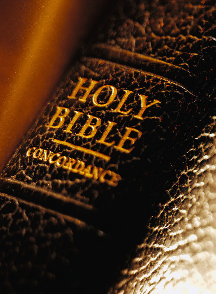 Bible Translation and Study