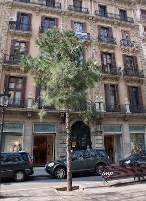 TOT PASSEJANT El PI, de Josep Maria Pi i Sunyer