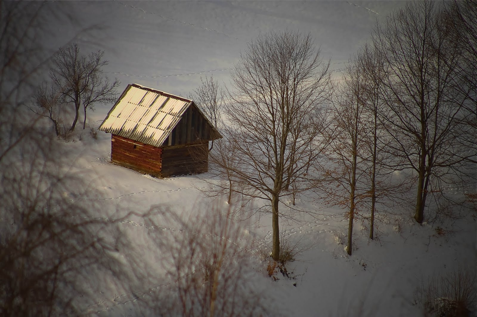 [Lilliput+Winter+House.jpg]