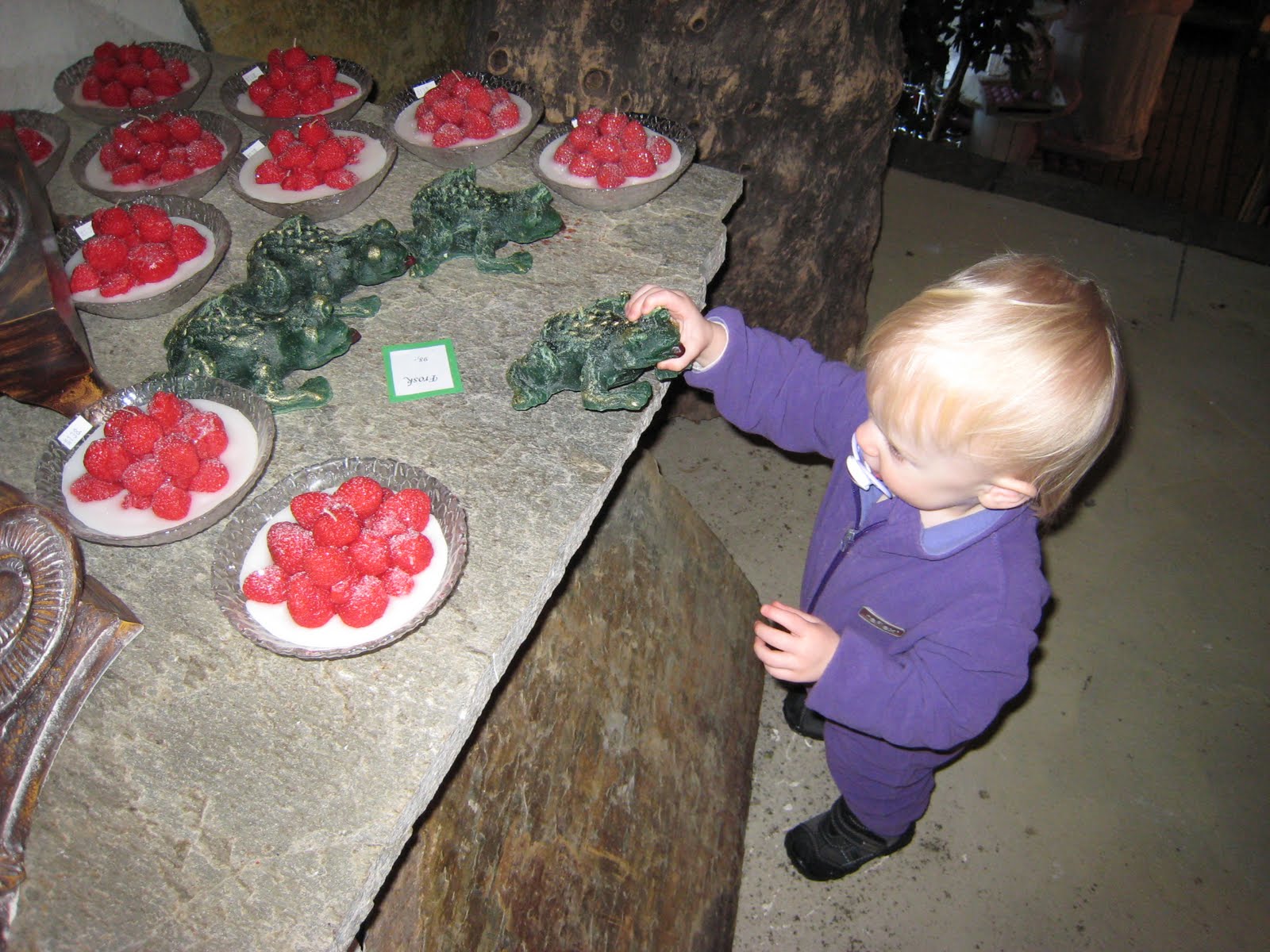 Elises verden: februar 2011