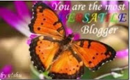 Versatile Blogger Award