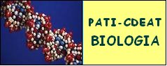 Disciplina de Biologia - Plano de Aula Transparente e Interativo (PATI)