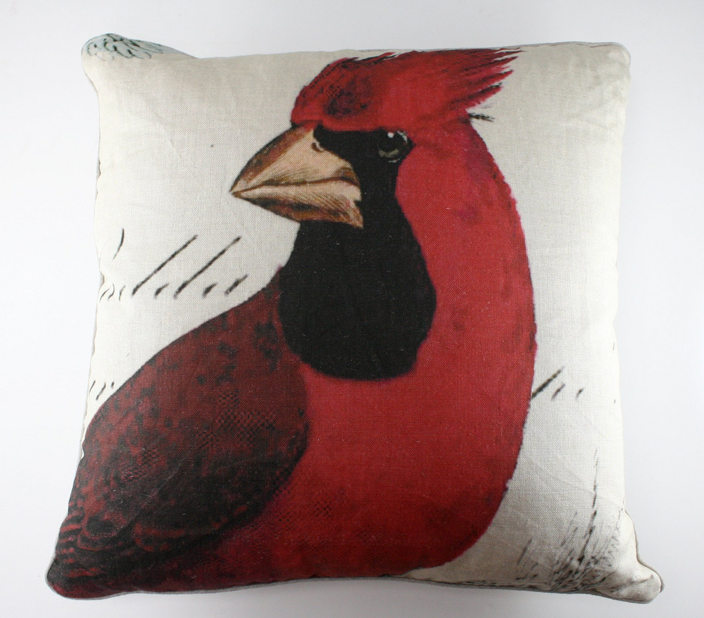 Loopy Mango New arrivalsDesign Legacy pillows!